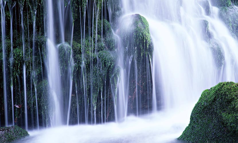 水源の風景